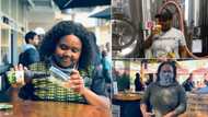 Woman loses it all 2 years after starting SA's first black female owned brewery