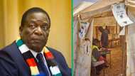 SA reacts to Zimbabwe's early election results showing ZANU-PF's lead