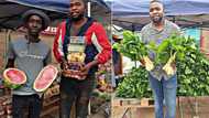 From graduate to hustler: Mzansi salutes young man who started veggie business after struggling to find work