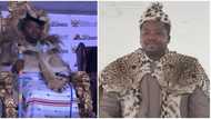 Meet Mangaliso Ndlovuyezwe Ndamase, new King of AmaMpondo aseNyandeni