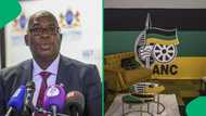 SA reacts to ANC summoning Panyaza Lesufi for anti-GNU remarks