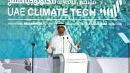 Fake Twitter 'blondes' promote UAE climate summit