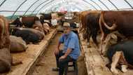'Sacred duty': Inflation eats into Turkey's Muslim feast
