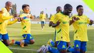 Mamelodi Sundowns coach Manqoba Mngqithi believes the club has uncovered a new star