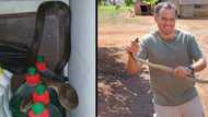 "Love these snakes": Nick Evans discovers large brown snake in cleaning cupboard