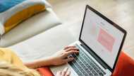 Free company profile template: What you need to know