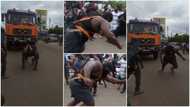 Powerful man pulls trailer using his body in viral video, people left in wonder