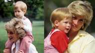 Royal expert says Princess Diana would be proud of son Prince Harry