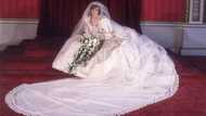 Princess Diana's wedding dress may go on display after sons approve