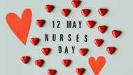 Nurses Day: theme, images, quotes, ideas, what you say