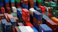 Dockers killed, kidnapped and corrupted by drugs mafia