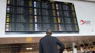 Strike forces cancellation of all Brussels flights