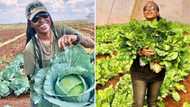 "You are amazing": Talented female farmer who created jobs for 5 people inspires