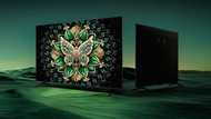 TCL Unveils Mini LED TVs With New HVA Panels and Halo Control Technology