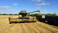 New customers: in occupied Ukraine, grain is sold to Russia