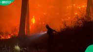 Northern Cape fire danger soars as WMO warns heatwaves and wildfires could worsen air quality