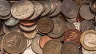 What pennies are worth money and what are they worth? 25 valuable coins