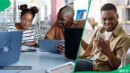 “Unisa is questionable”: SA shares reasons why institution's qualifications are looked down on