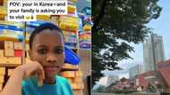 SA woman post South Korean private school job hunting instructions, Mzansi love helpful TikTok of her dancing to 'Mnike'