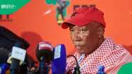 "RDP houses in Orania": Julius Malema reiterates EFF's stance on GNU involvement