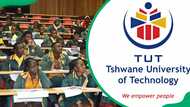 TUT late application for 2026: All the important details