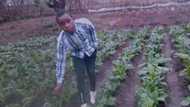 "I salute you": Young man from poor background learnt farming from gogo, today he owns a business