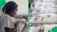 "In this economy": Photo goes viral of woman who gave birth to sextuplet, netizens sympathise