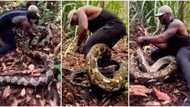 Mike Holston: Former US football player battles massive python in terrifying video; many question his style