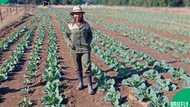 Young female farmer cultivates success and inspires women in agriculture