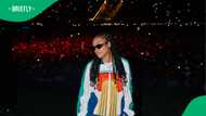 Singer Elaine makes surprise appearance at Chris Brown's concert at FNB Stadium