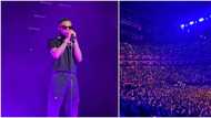 Wizkid's MIL concert: Chris Brown, Gabrielle Union, other international stars spotted at London show