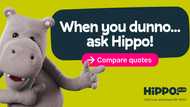 Why Comparing Insurance Could Be One of the Smartest Ways To Save!