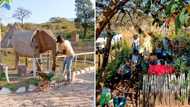 Local artist builds recreational park in Venda, charges R25 for entrance to raise money to further his career