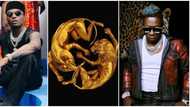 MTV VMA: Africa’s Wizkid, Shatta Wale bag nominations for collaborations with Beyoncè on 'Black Is King'