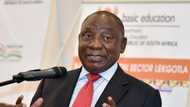 President Ramaphosa lays down the law, warns disobedient ANC members