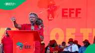 Julius Malema maintains no one wants to kill white people, insists they must return the stolen land