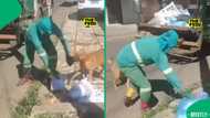 Joburg sanitation worker's tug-of-war with playful dog has Mzansi in stitches