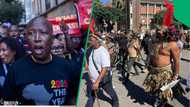 Julius Malema roasted for sharing ‘old looting video’ amid renewed Durban protests