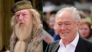 Michael Gambon, famous for Harry Potter character Dumbledore, dead at 82