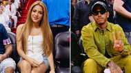 Shakira and Formula 1 star Lewis Hamilton are rumoured to be dating, netizens divided