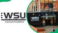 Walter Sisulu University online application 2025: requirements and closing dates