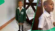 "My head goes off, doesn't stay on": Grade 1 boy explains how he got zero on a test, SA in stitches