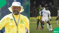 Mngqithi stops Cardoso's run as Sundowns drop points against Arrows in PSL