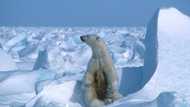 Oil, gas drilling blocked in Alaska wilds as Biden seeks green cred