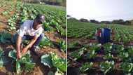 Farmer shares sound advice with youth looking to get into agriculture: “Starting small will teach you a lot”