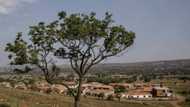 Lady Selborne: Suburb destroyed by apartheid regime regains former glory as mansions erected