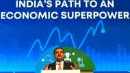 Gautam Adani: the Indian tycoon weathering stock market panic