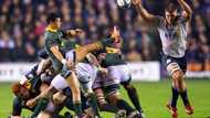 URC honours Bulls standout with top award ahead of potential Springbok return