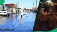 Man surfs in Cape Town floods in TikTok video, South Africa amused