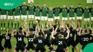 Springbok jersey warning emerges as Bee row erupts ahead of All Blacks tour